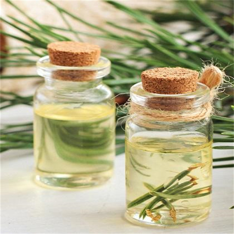 Natural Pine Needle Oil CAS 8000-26-8