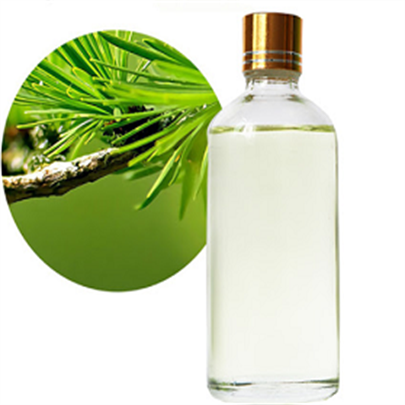 Natural Pine Needle Oil CAS 8000-26-8